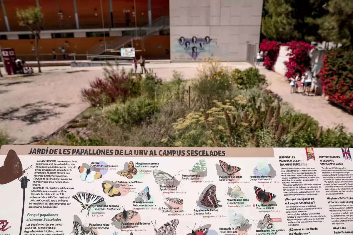 Imagen para los medios: Jardí de Papallones